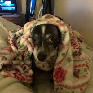 Meet your Posher, Patricia